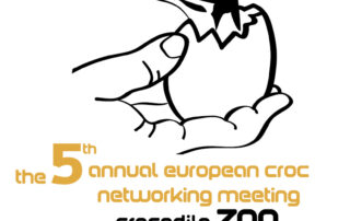 Crocodile networking logo